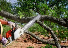 Soil Testing and Treatment in Belvidere, NJ